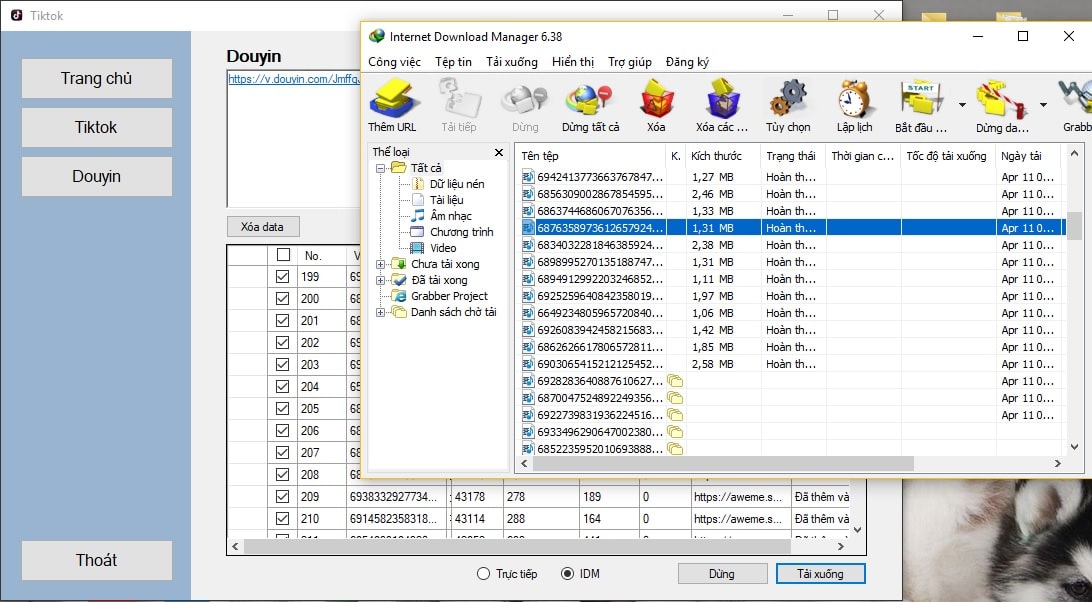 Tiktok Downloader 2.1 với tính năng tải video tốc độ cao qua IDM